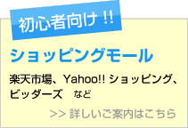 初心者向け!!ショッピングモール(楽天市場、Yahoo!!ショッピング、ビッダーズ など)。詳しいご案内はこちら。
