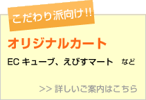 初心者向け!!ショッピングモール(楽天市場、Yahoo!!ショッピング、ビッダーズ など)。詳しいご案内はこちら。